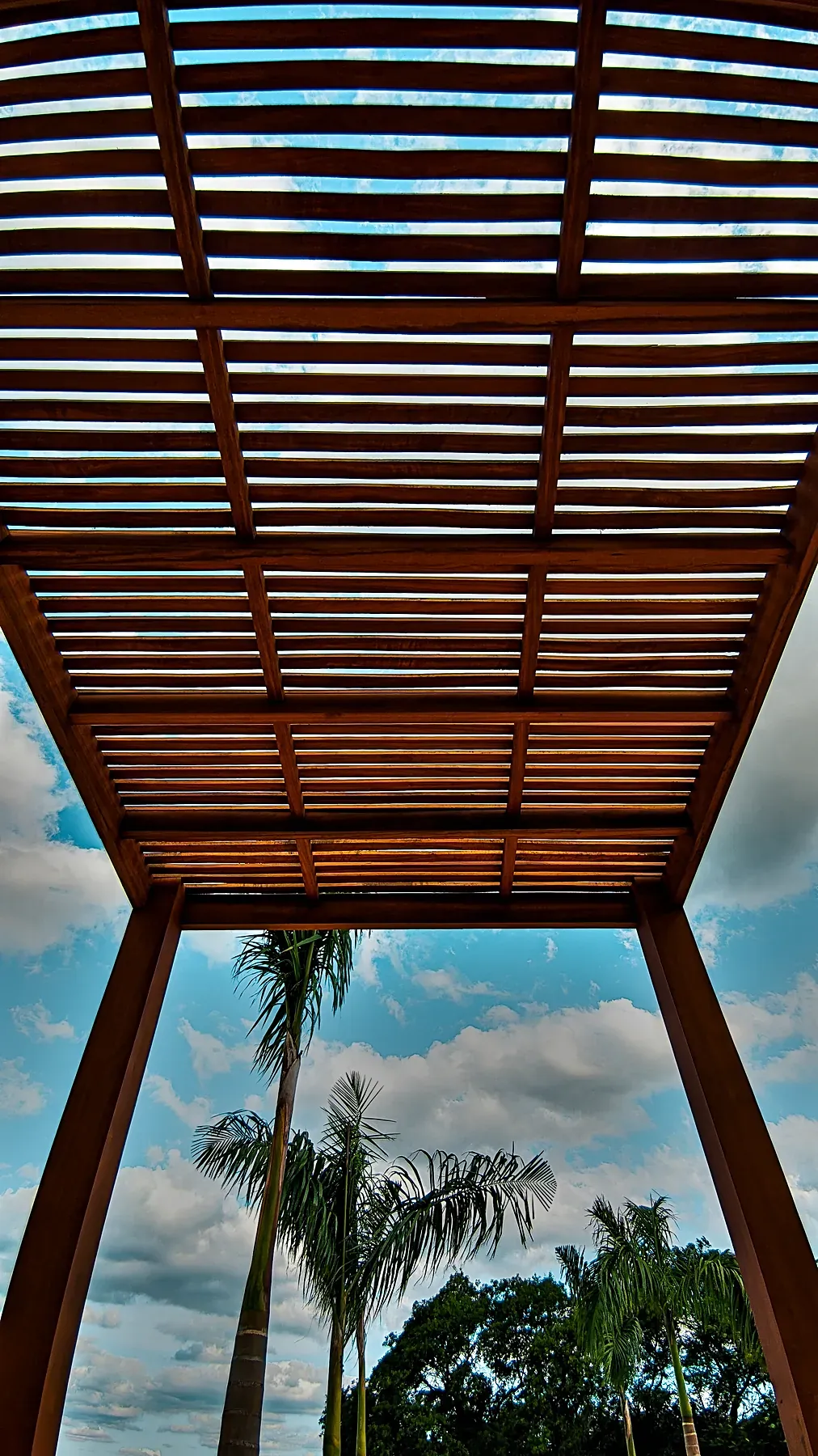 Pérgola de madeira vista de baixo, com palmeiras ao fundo